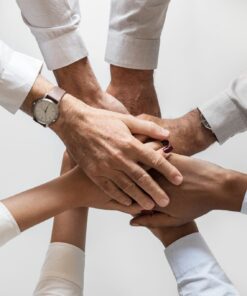 Team Building and Management
