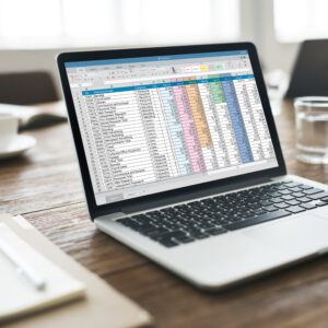 Advanced Excel for Business
