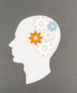 Entrepreneurial Mindset