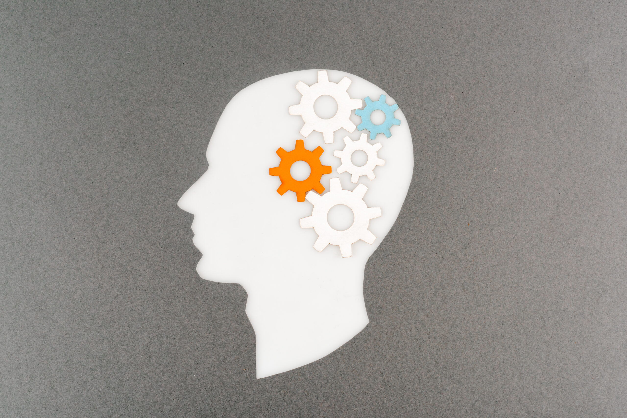 Entrepreneurial Mindset